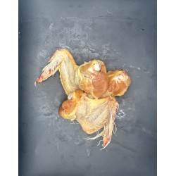 Ali di Pollo